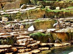 149 BIO PARC DE DOUE LA FONTAINE 6- 2016_000036